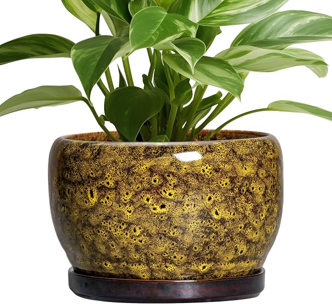 SQOWL Ceramic Flower Pots by SQOWL