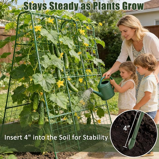 Miory Cucumber Trellis for Raised Beds, 48 x 63 Inch Metal U-Frame Garden - Image 7
