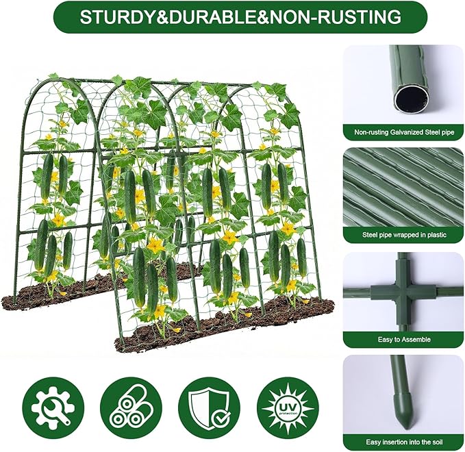 Cucumber Trellis for Raised Bed - Image 6