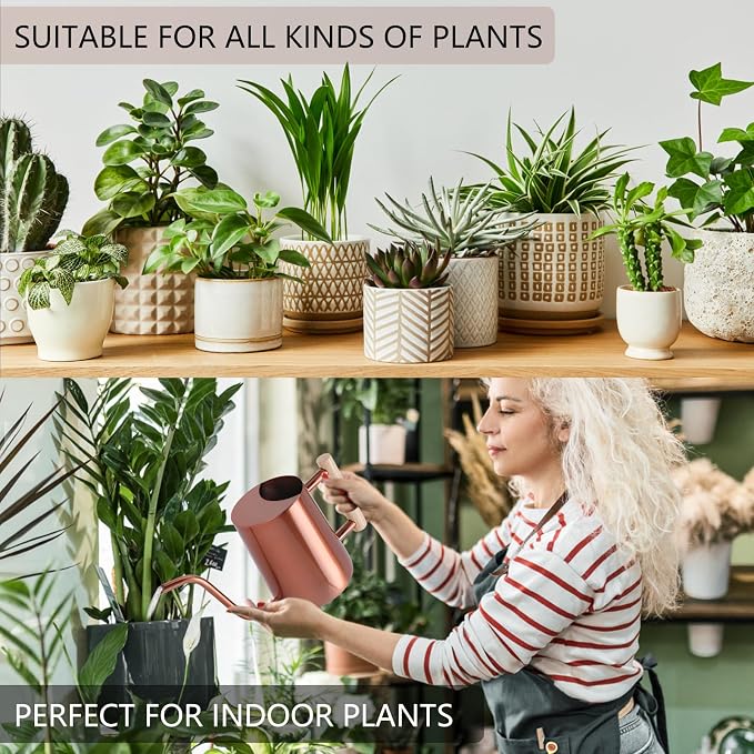 Watering Can Indoor Plants, 35oz Small Stainless Steel Metal Watering Can - Image 4