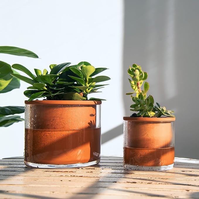 Phoenix Vine 4 Inch Self Watering Plants Pot, Design Terracotta Pot - Image 5