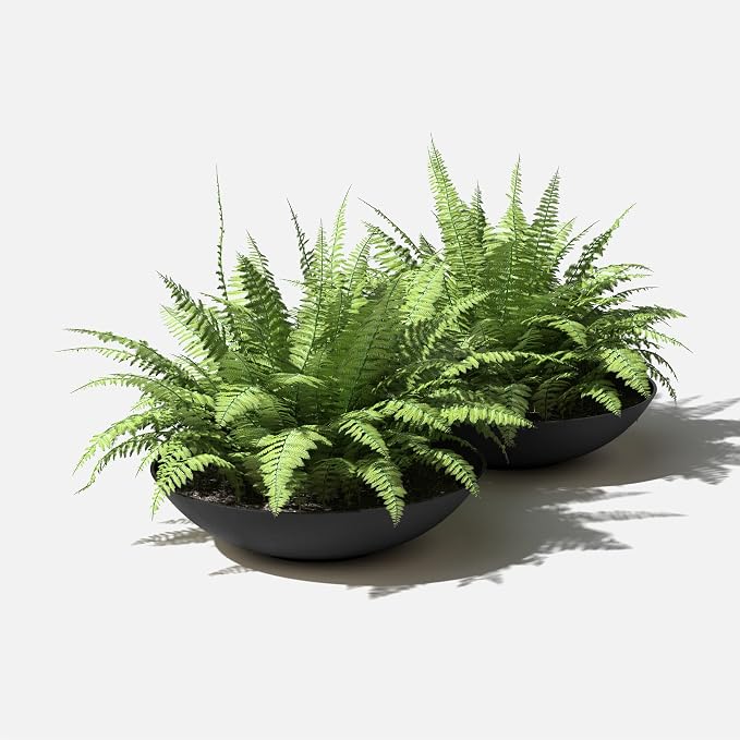 Veradek Mason Series Lane Bowl Planter| - Image 8