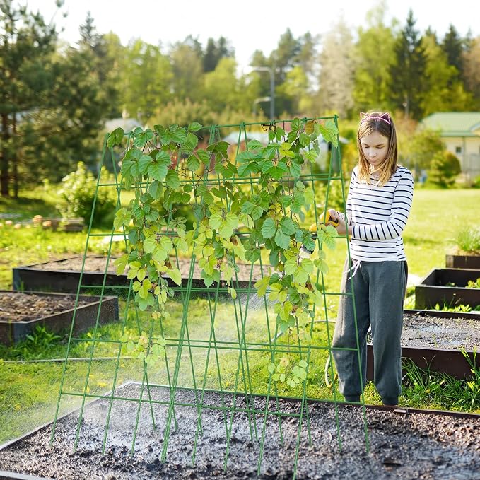 Cucumber Trellis 2 Pack, Foldable A-Frame Garden Trellis - Image 9