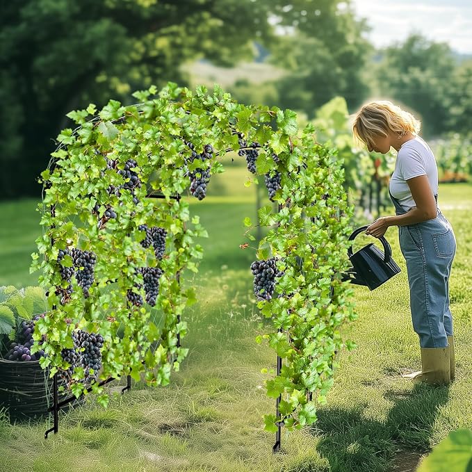 unho Black Iron Garden Arch Trellis - Image 9