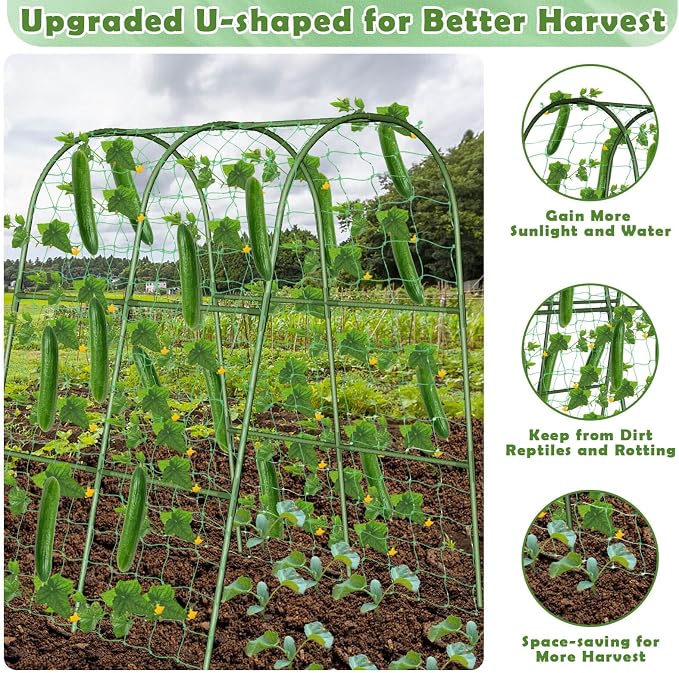 Cucumber Trellis for Raised Bed, Garden Arch Trellis for Climbing Plants Outdoor - Image 4