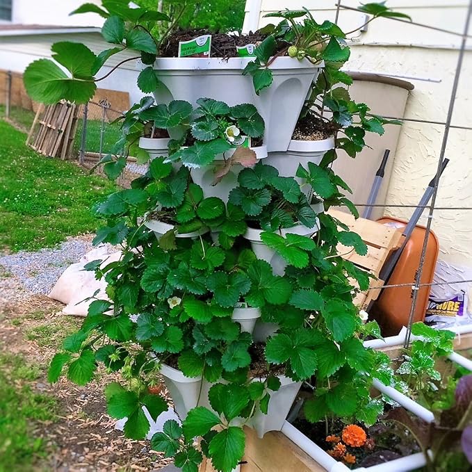 Mr. Stacky 5 Tiered Vertical Gardening Planter, Indoor & Outdoor - Image 6