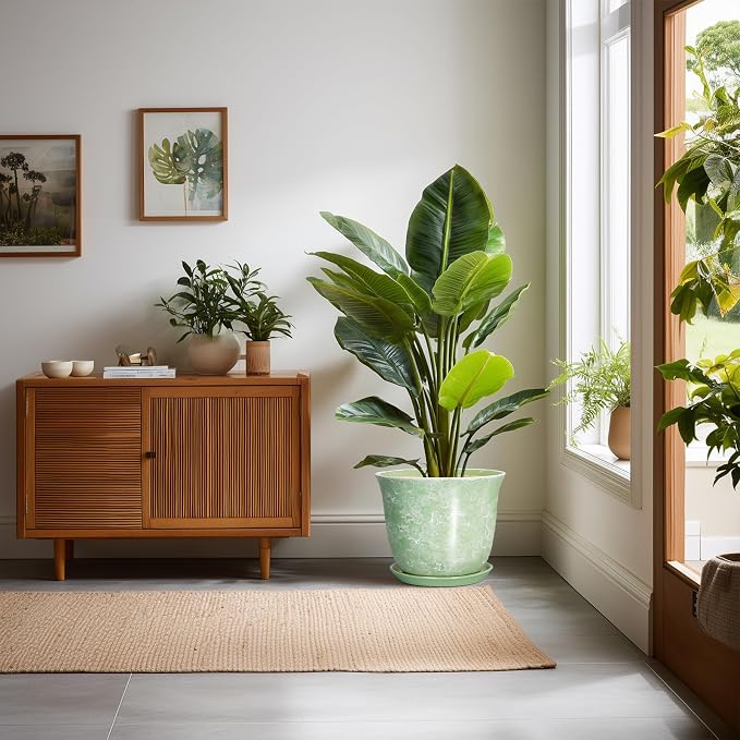 Ceramic Pots for Plants - Image 3