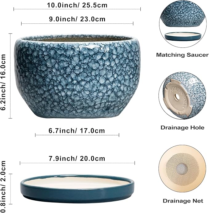 SQOWL Ceramic Planter - Image 3