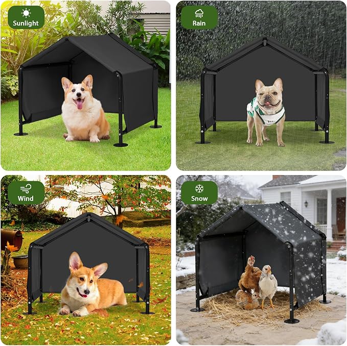 Dog Shades for Outside - Image 6