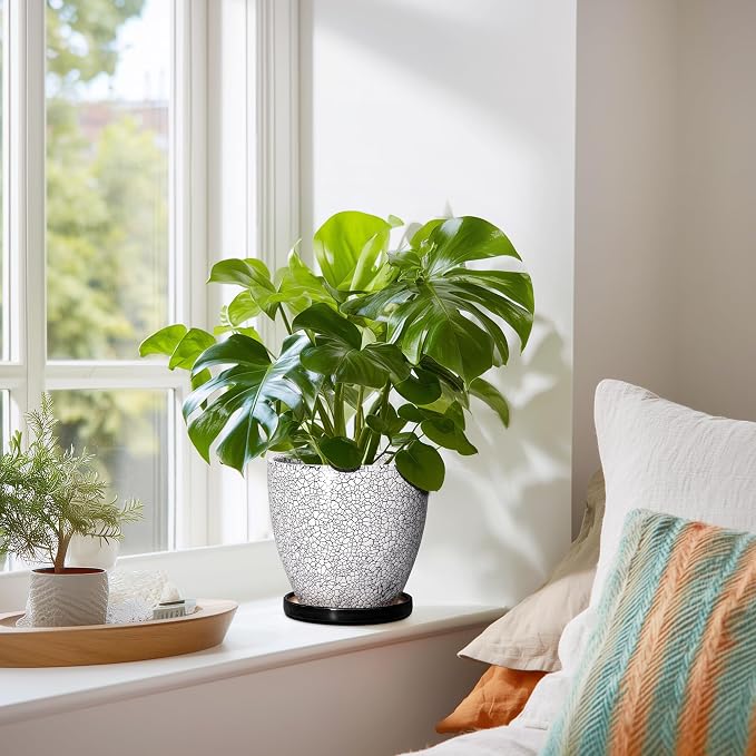Ceramic Plant Pots - Image 6