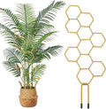 Grevosea 14 Inch Trellis for Climbing Plants Indoor, Plant Trellis Indoor Small by Unknown