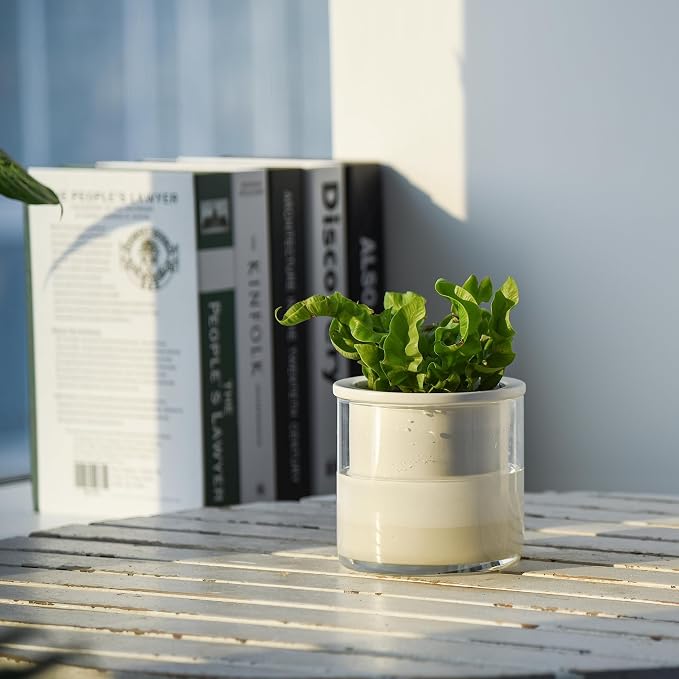 Phoenix Vine 4 Inch Self Watering Planter Pot, Design White Terracotta Pots - Image 5