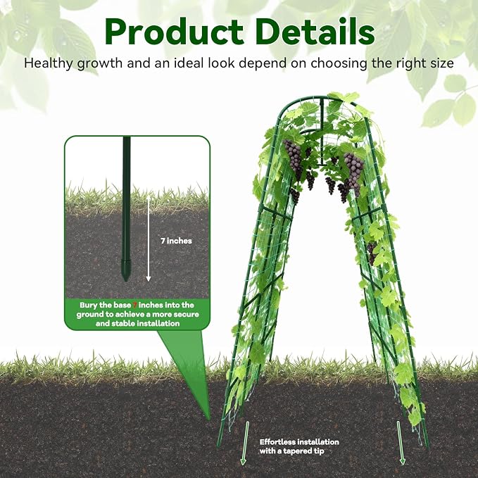Cucumber Trellis - Image 2