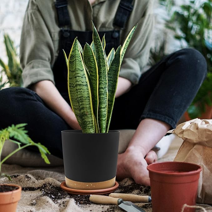 QCQHDU 6.5 inch Plant Pot, 2 Pack Planters - Image 6