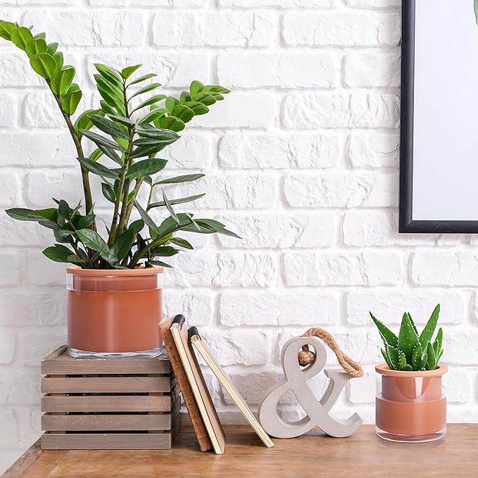 Phoenix Vine 4 Inch 6 Inch Self Watering Plants Pots, Design Terracotta Pots - Image 5