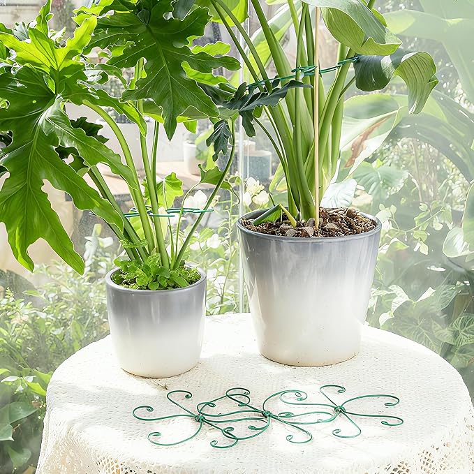 Monstera Plant Stem Support 5 Pcs - Image 7