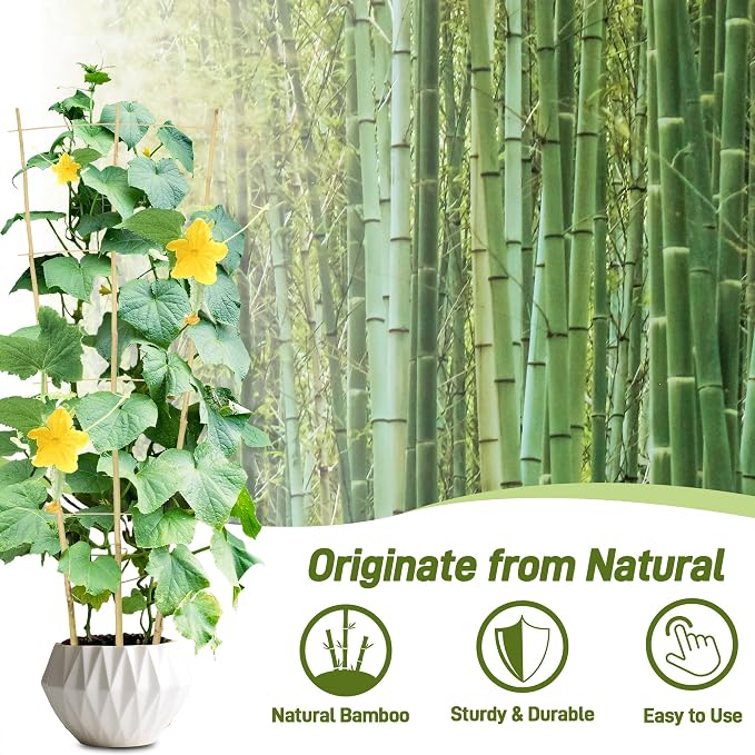 Avalution 10 Pack Bamboo Trellis - Image 3
