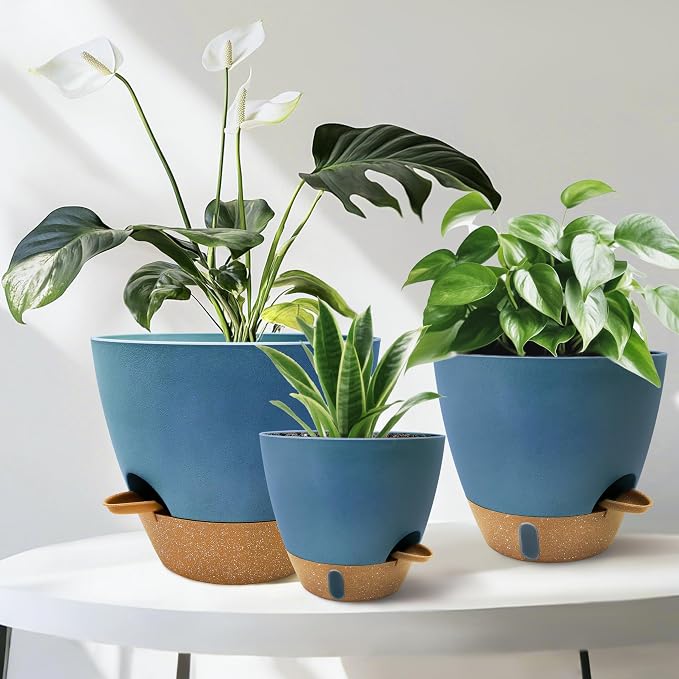12/10/9/8 inch Self Watering Pots - Image 7