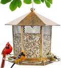 Wild Birds Feeder, Finch Bird Feeder by KIMCHOMERSE