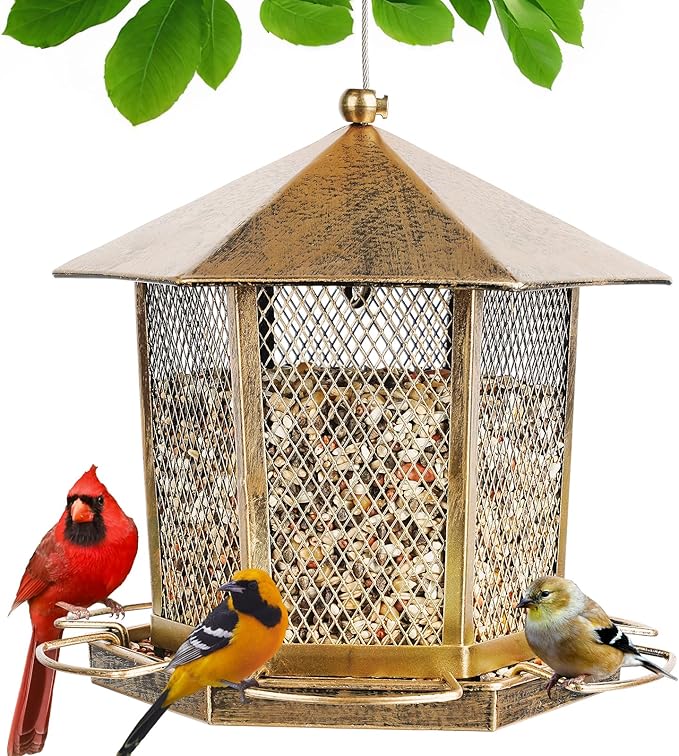 Wild Birds Feeder, Finch Bird Feeder by KIMCHOMERSE