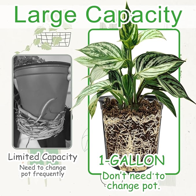 60 Pack 1 Gallon Flexible Plant Nursery Pots, Flower Plant Container, Seedling - Image 4