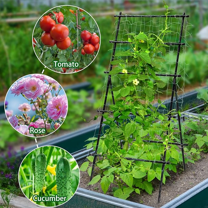 Lalahoni Cucumber Trellis, 6ft Tall Metal Garden Trellis - Image 7