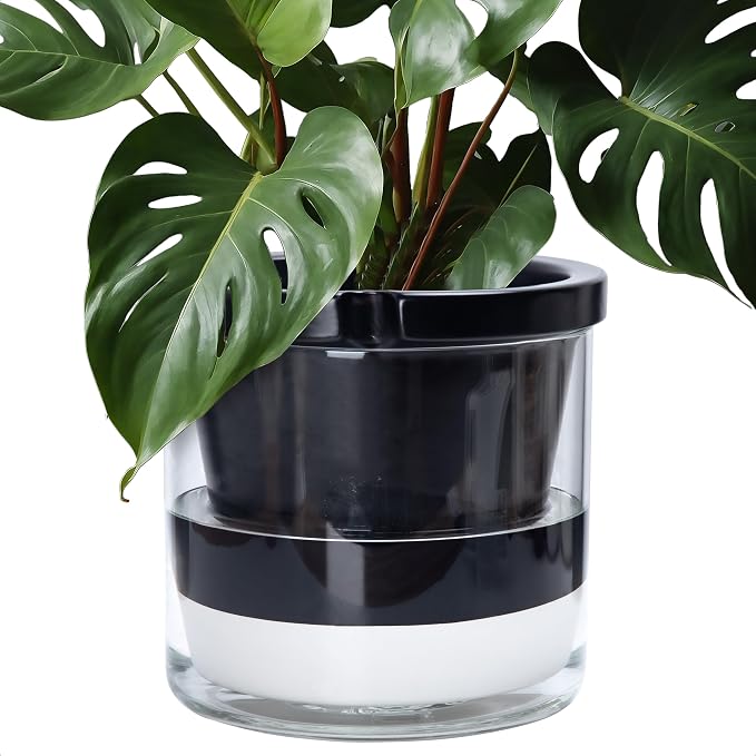 D'vine Dev 10 Inch Design Self Watering Planter by DvineDevPlanterPotsandStand
