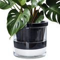 D'vine Dev 10 Inch Design Self Watering Planter by DvineDevPlanterPotsandStand