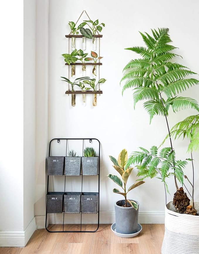 Mkono Plant Propagation Tubes, 3 Tiered Wall Hanging Terrarium - Image 4