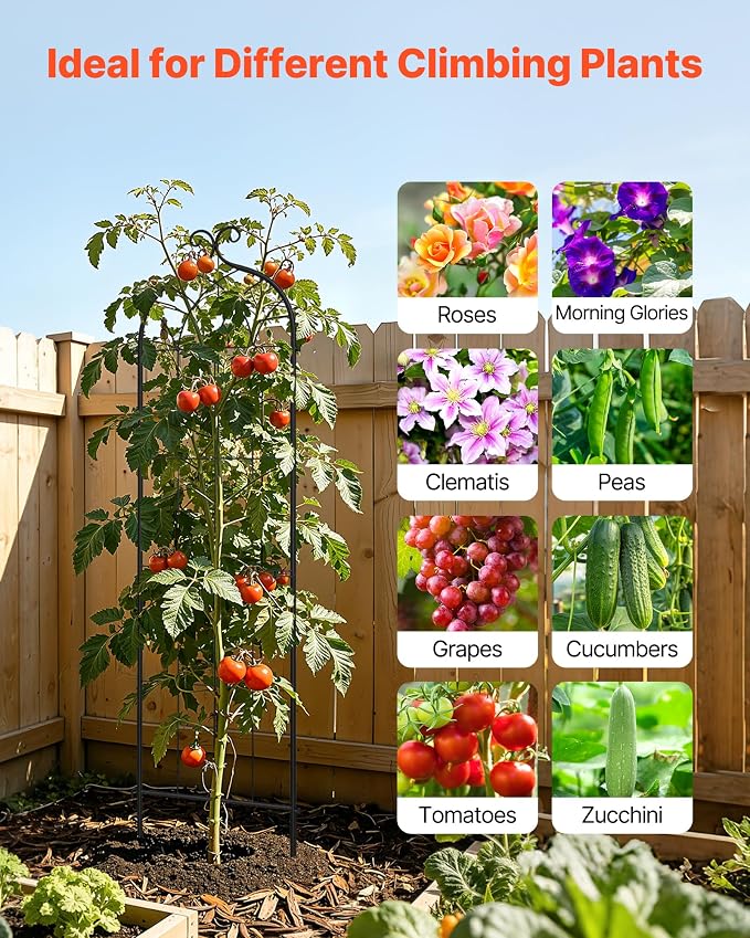 VEVOR Garden Trellis, 60 x 15 inch Rose Trellis, 4 Packs Garden Flower Rose - Image 5