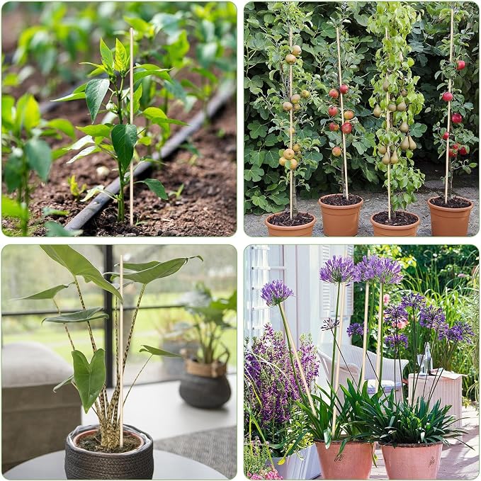 40 PCS Bamboo Plant Stakes 18 Inch, Wood Plant Support - Image 8