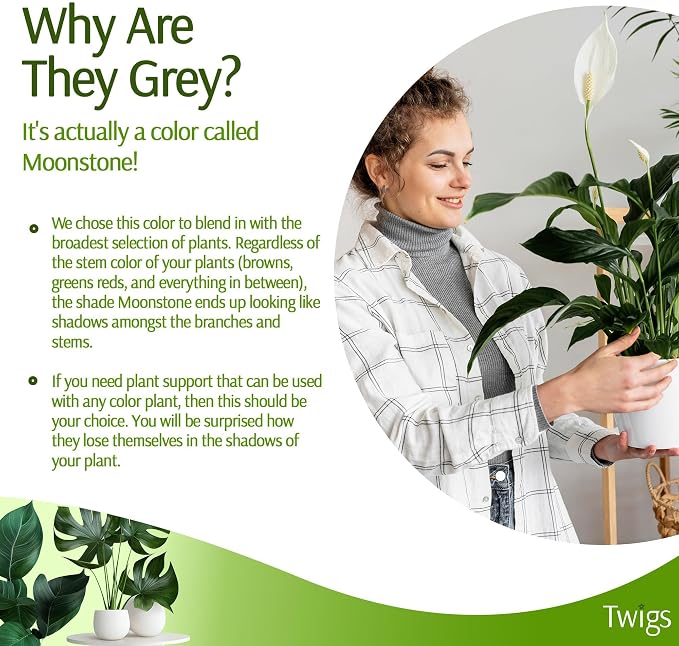 Plant Support Stakes for Indoor & Outdoor Use, Durable Trellis Alternative for - Image 5
