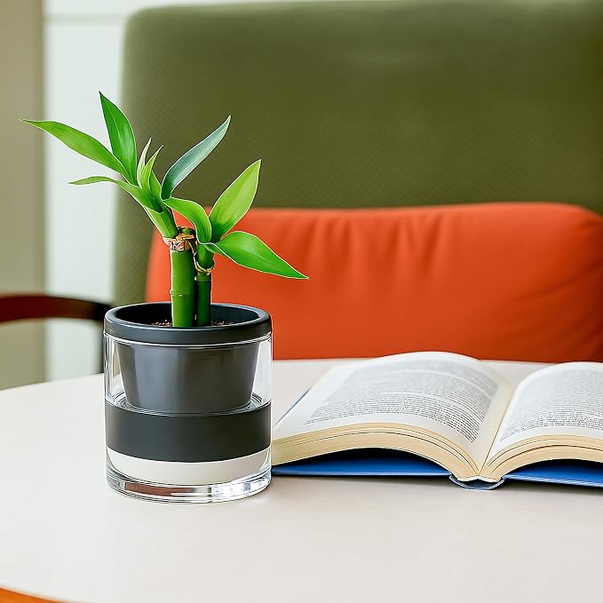 D'vine Dev 4 Inch Design Self Watering Planter - Image 7