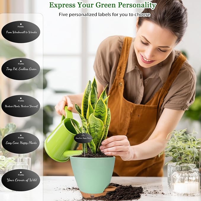 6 Inch Self Watering Pots for Indoor Plants – Small Plastic Planters - Image 3