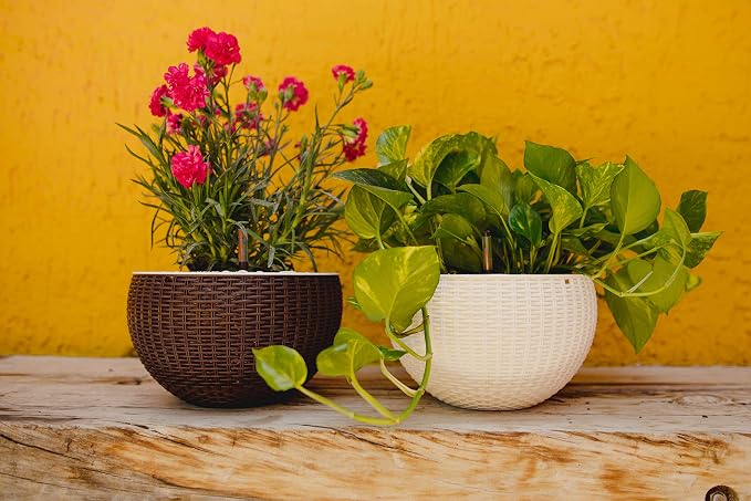 GARDENIX DECOR Self Watering Hanging Planter, Coco Coir, - Image 8
