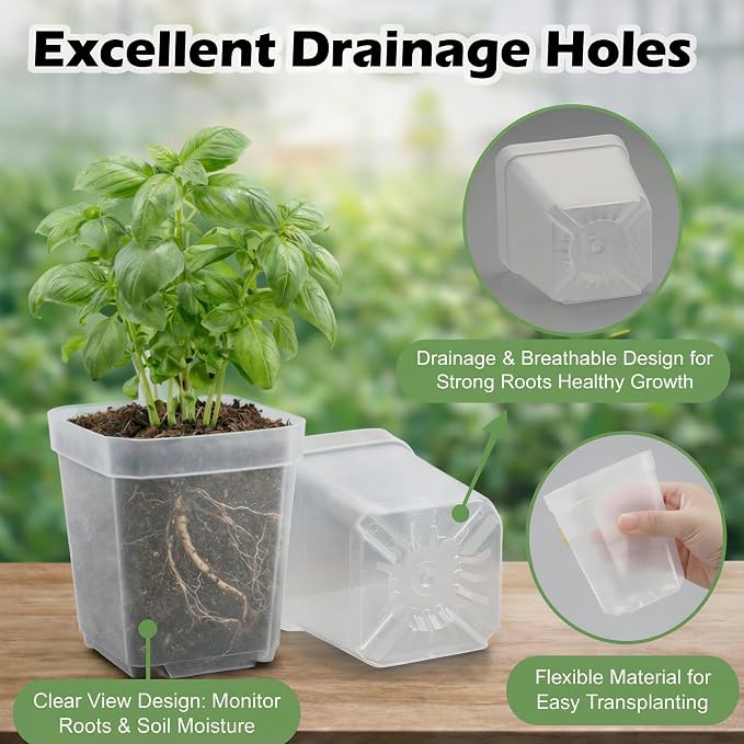 120 Packs Square Clear Nursery Pots - Image 2