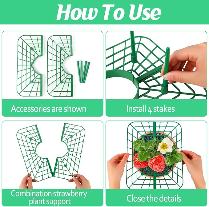 4 Sets Strawberry Plant Support - Image 3