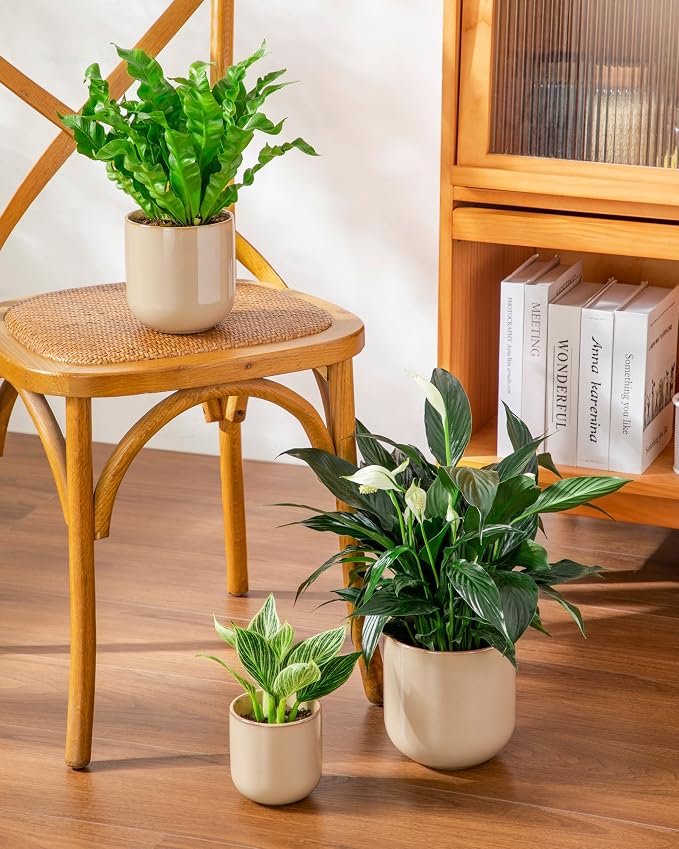 vancasso Ceramic Plant Pots, 4+5+6 inches, Planters - Image 7