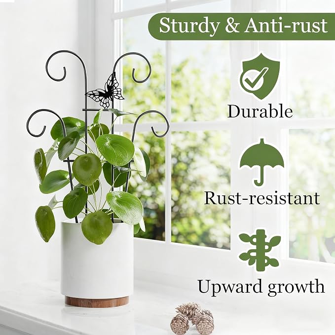 Indoor Plant Trellis for Climbing Plants, Stackable Garden Trellis for Potted - Image 4