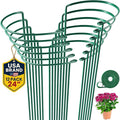 12 Pack Tall Snake Plant Support Stakes – 10" W x 24" H Half Round Peony Cages by K-BRANDS