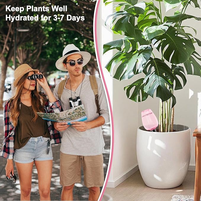 8 Pcs Plant Watering Globes Self Watering Planter Insert Plants Top Fill Water - Image 4