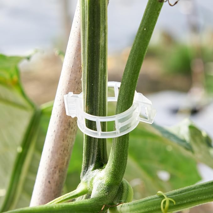 100 Pcs Plant Support Clips, Plastic Clips - Image 4