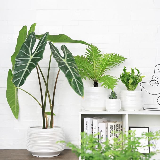 10 Inch Ceramic Plant Pot with Drainage – Large Flower Pot - Image 5