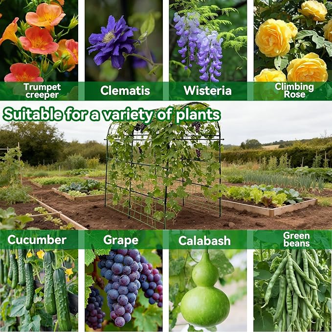 Garden Arch Trellis for Climbing Plants Outdoor - Image 2