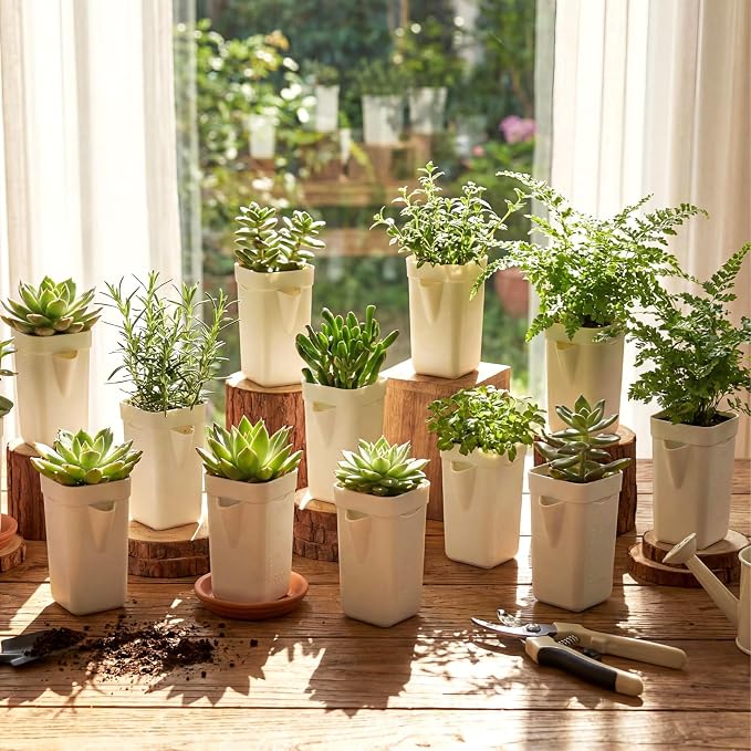LemonRoad 20 Pack 2" Small Self Watering Pots - Image 2