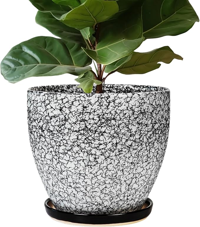 10 Inch Plant Pot by EPFamily