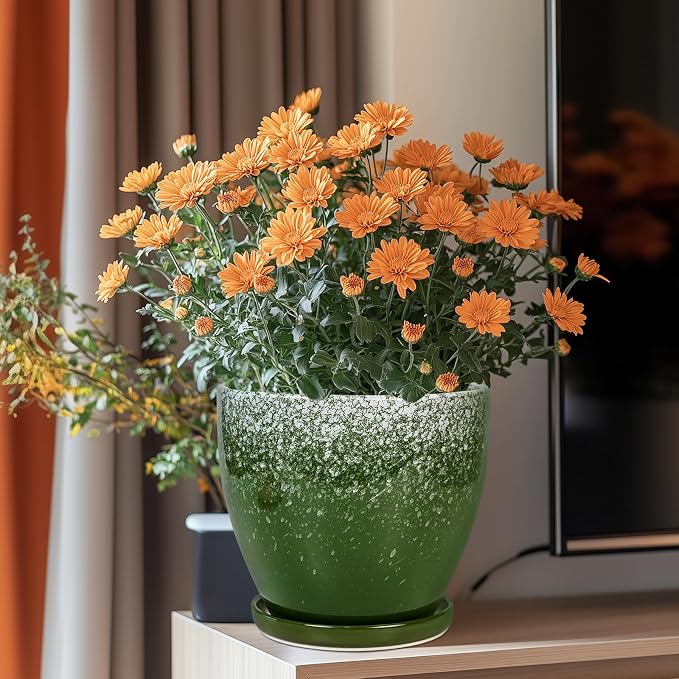 Ceramic Pots for Plants - Image 2