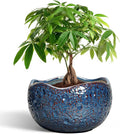 10 Inch Plant Pot by Thirtypot