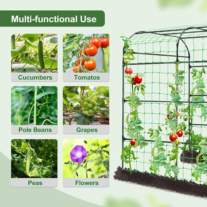 Lalahoni Large Garden Trellis Arch - Image 3