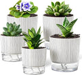 5 Pack Self Watering Pots for Indoor Plants, Easy-Care Pots for African Violet by Unknown